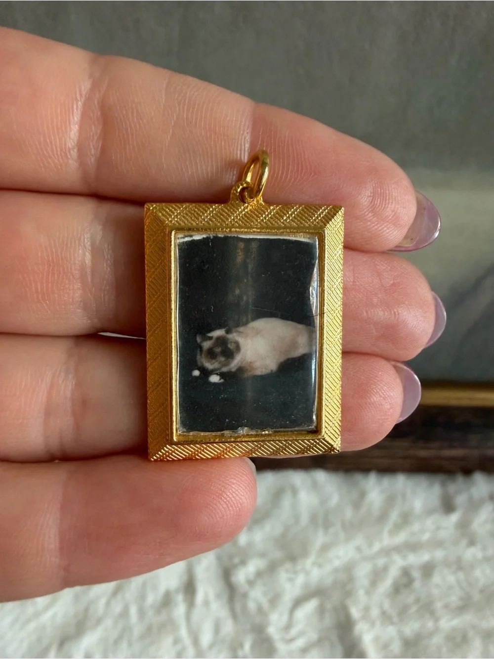 Gold-tone Rectangular Pet Photo Charms - Dog & Cat